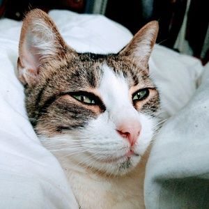 Meet your Posher, Melinda